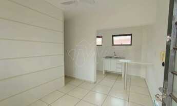 Imagem 4: Locação de Apartamentos / Kitnet na cidade de Araraquara