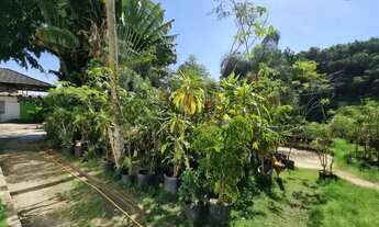 Imagem 4: Imóvel para aluguel possui 50 metros quadrados em Taquara - Rio de Janeiro - RJ