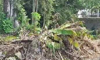 Imagem 3: Terreno para Venda em Rio de Janeiro, Ilha de Guaratiba
