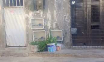 Imagem 2: Vendo Casa com 4 dormitórios