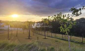 Imagem 7: Terreno - Parque São Quirino - Campinas