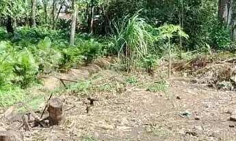 Imagem 2: Terreno para Venda em Rio de Janeiro, Ilha de Guaratiba