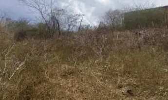 Imagem: Terreno próximo ao loteamento de neno do