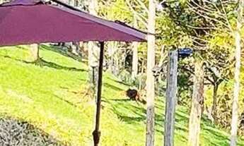 Imagem 5: Locação Pousada Reserva Verde Quatro Barras