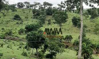 Imagem 6: Fazenda à venda, 488.84 Hectares por R$ 11.000.000 - Zona Rural - Uruana/GO