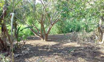 Imagem 2: Oportunidade Vende-se chácara no Areia Grossa