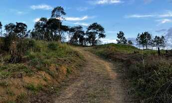 Imagem 5: Vendo terreno com acesso ao lago