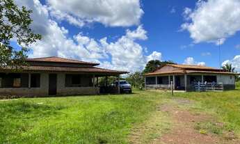 Imagem 3: Fazenda 225 hec em Cantanhede/Ma