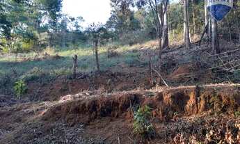 Imagem 5: Surpreendente oportunidade