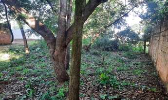 Imagem 2: Lote 407 Sul Terreno / lote com venda com preço sob consulta