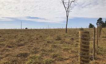 Imagem 7: CHÁCARAS PERTO DE BONFINÓPOLIS