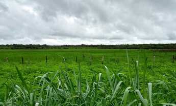 Imagem 6: FAZENDA CARNAÚBA NO QUIXADA