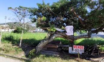 Imagem 4: Vendo Terreno medindo 382 m², em frente ao Campo do Paissandu FC, Aririú, Palhoça SC
