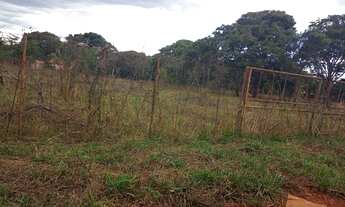 Imagem 5: Lotes na represa de três Marias