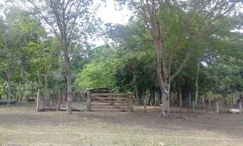 Imagem 3: Fazenda à venda 597Alq. 2.889,48Ha dupla aptidão. Cocalinho/MT