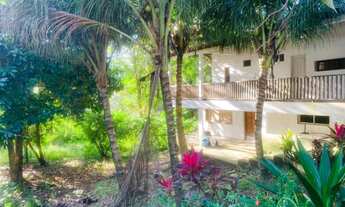 Imagem: Chacara vendo ou alugo