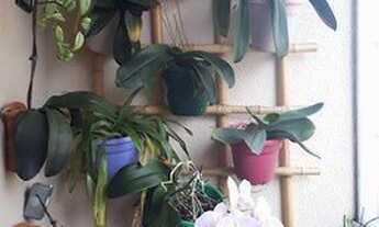 Imagem 6: Apartamento para venda tem 54 metros quadrados com 2 quartos em Parque Maria Helena - São