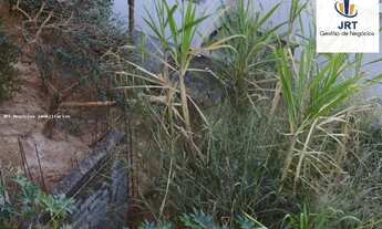 Imagem 5: Lote 392 m², com projeto aprovado, Jardim Riacho das Pedras, Contagem MG