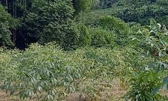 Imagem 7: Terreno na região das montanhas - excelente negócio para investimento