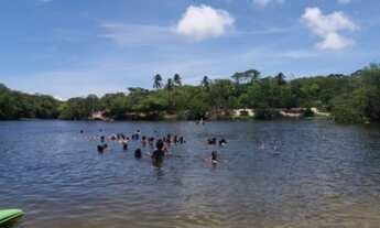 Imagem 7: Alugo casa mobiliada px a Praia do Forte