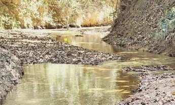 Imagem 2: Excelente Chacara com 2 Hectares, no Capão cumprido