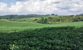 Imagem 4: Vende-se terreno para chacara