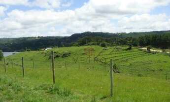 Imagem 2: Terreno na Barragem do Salto em São Francisco de Paula!