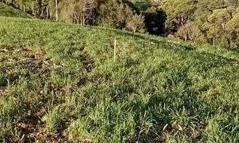 Imagem 4: Vende lindo lote com água luz