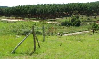 Imagem 5: Terreno na Barragem do Salto em São Francisco de Paula!