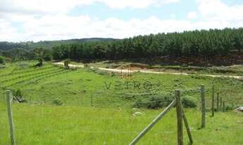 Imagem 4: Terreno na Barragem do Salto em São Francisco de Paula!