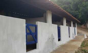 Imagem 7: Lindo haras em ALDEIA