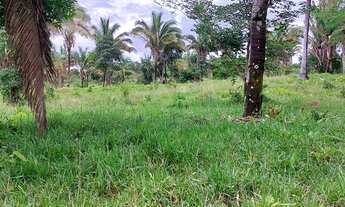 Imagem 4: Fazenda com 94 alqueires em Colmeia/TO