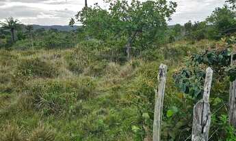 Imagem 3: Vendo excelente lote em Nazaré das farinha