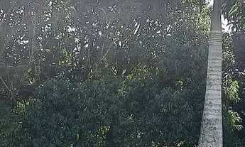 Imagem 4: Vendo terreno de mil metros em Araçoiaba da Serra SP