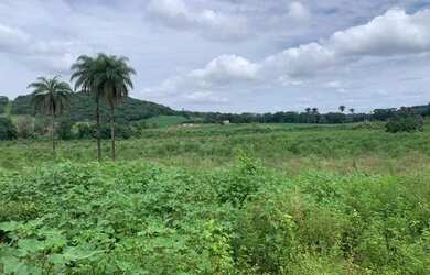Imagem 3: Fazenda 3ha, com 3km de beira de rio, nascente no terreno, terra de cultivo, Lagoa Santa