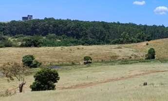 Imagem: LOTE com 300 metros quadrados em Muquiçaba