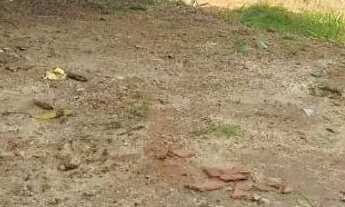 Imagem: Lote no Vivian Parque