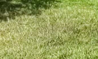 Imagem 2: LOTE PORTAL DO SOL 2 PRÓXIMO AO LAGO