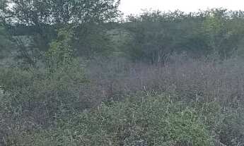 Imagem 4: Vendo ou troco) Terreno 1.200m² - Loteamento Baraúna, Ponto da Pinha, Retirolândia