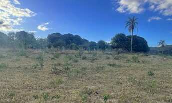 Imagem 2: Fazenda no norte de Minas Gerais