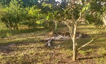 Imagem 6: Vende-se terreno 9.70x50