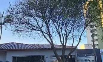 Imagem: Casa para alugar em Londrina, Centro, com