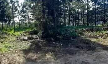 Imagem 5: ÁREA AV RUI BARBOSA CENTRO