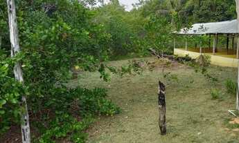 Imagem 7: 2chácaras 10.000m2 + 2 lotes 12.000m2,Tarumã. C/Reg.Imov