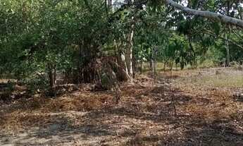 Imagem 2: Lotes Km 26 Am 070