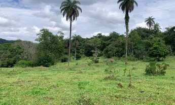 Imagem: Fazenda 150ha, com 3km de beira de rio