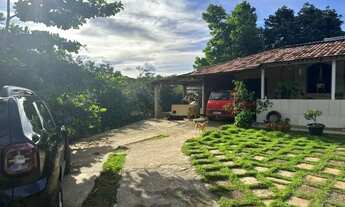 Imagem 5: Vendo chacara formada