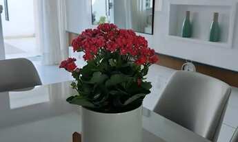 Imagem 5: Linda casa mobiliada no Papagaio. Pronta para morar!