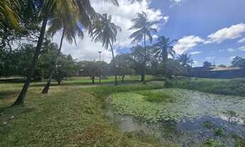 Imagem 3: Áreas à venda em rua pública, MOSQUEIRO, Aracaju, SE