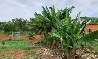 Imagem 3: Sitio 5.000 m², terra de qualidade, com casa, galinheiro, pomar, terra frutífera